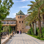 Taif Opens a New Path for Wellness Tourism Through Its Mountain Landscape and Natural Assets