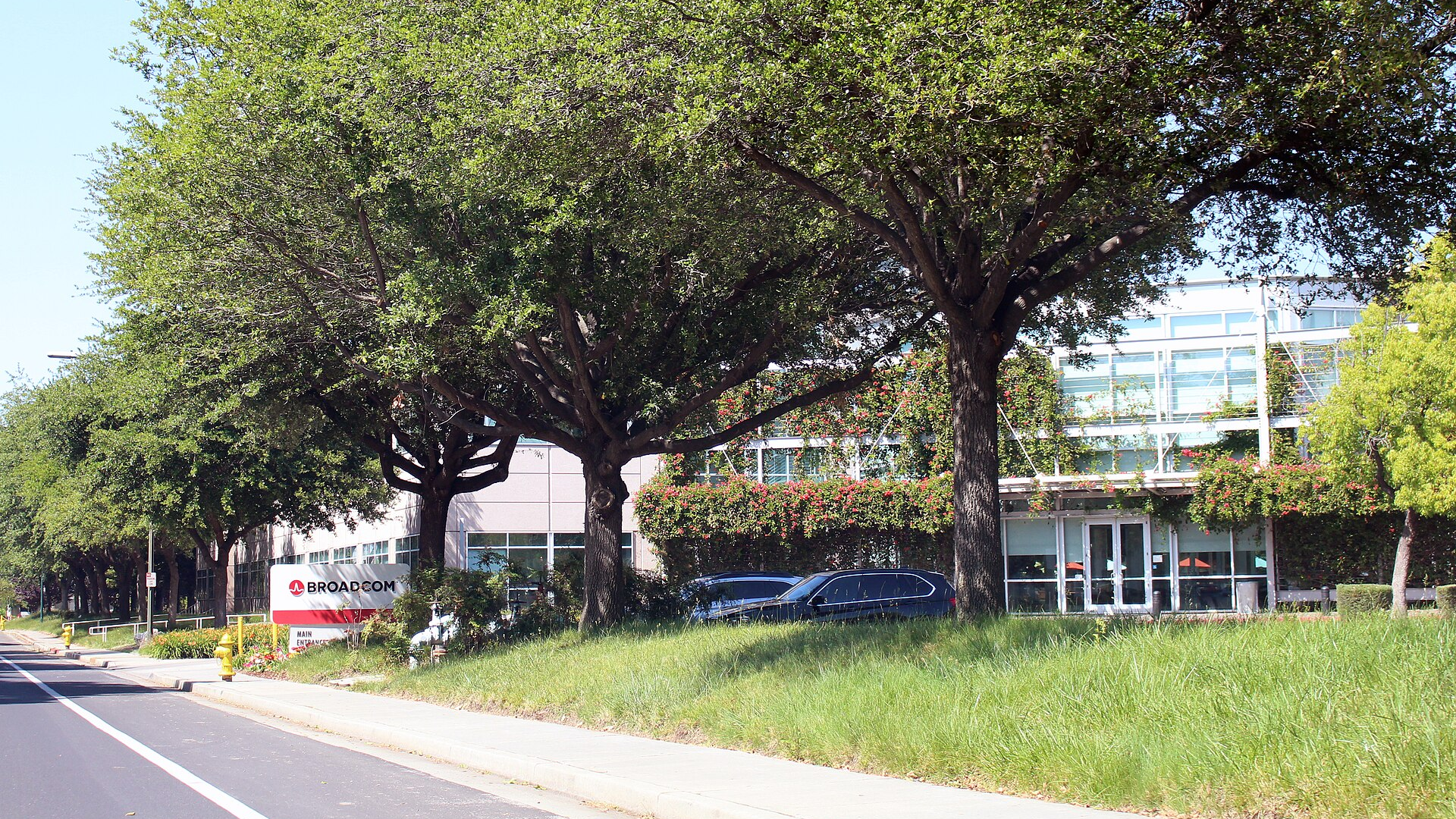 Broadcom: the US maker of AI chips and VMware infrastructure software