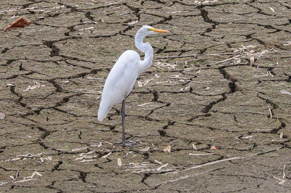 Puerto Rico's water shortage runs deeper than the drought