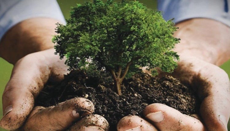 المملكة تطلق مبادرة السعودية الخضراء… خطوة تاريخية نحو مستقبل بيئي مستدام