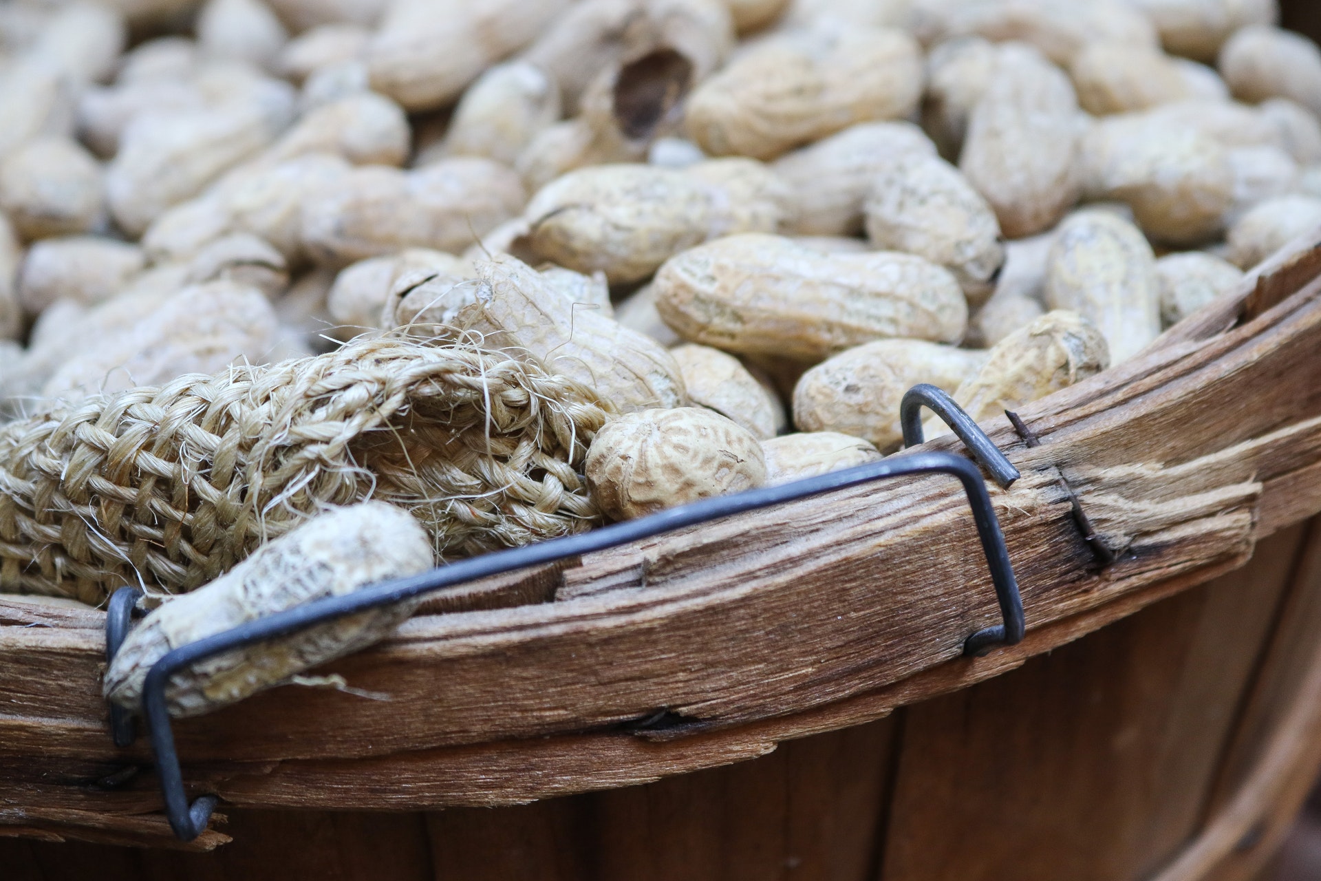 الفول السودانى بين فوائد كثيرة وأضرار متعددة