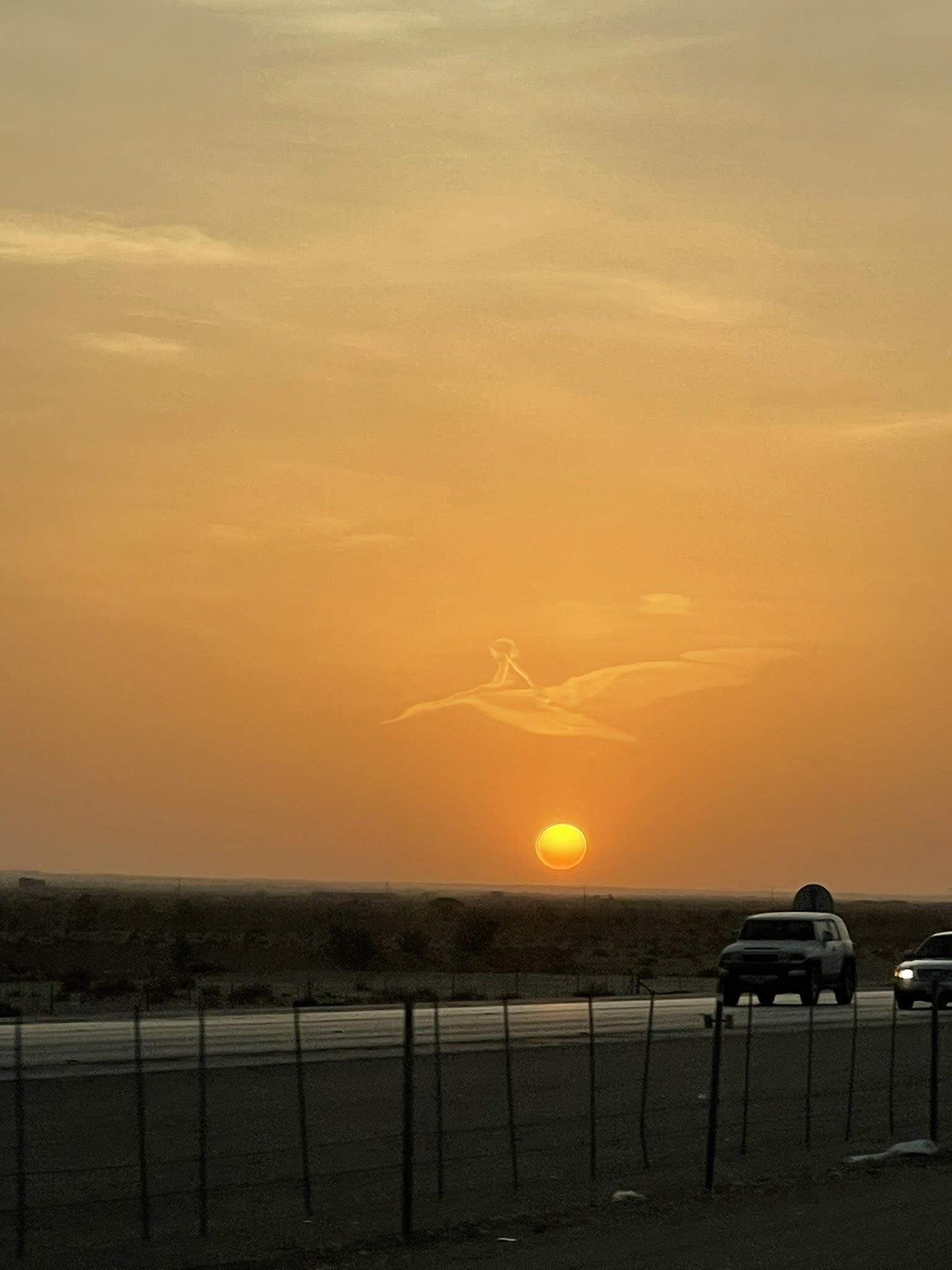 طفل جالس على ظهر طير في سماء المملكة حقيقة أم خيال