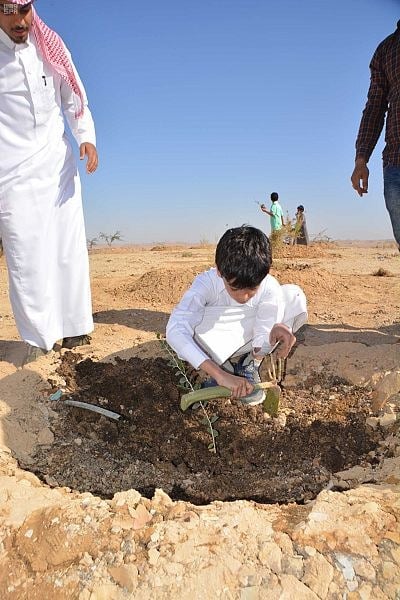 اتخاذ خطوات تجاه حماية الغطاء النباتي والحفاظ عليه