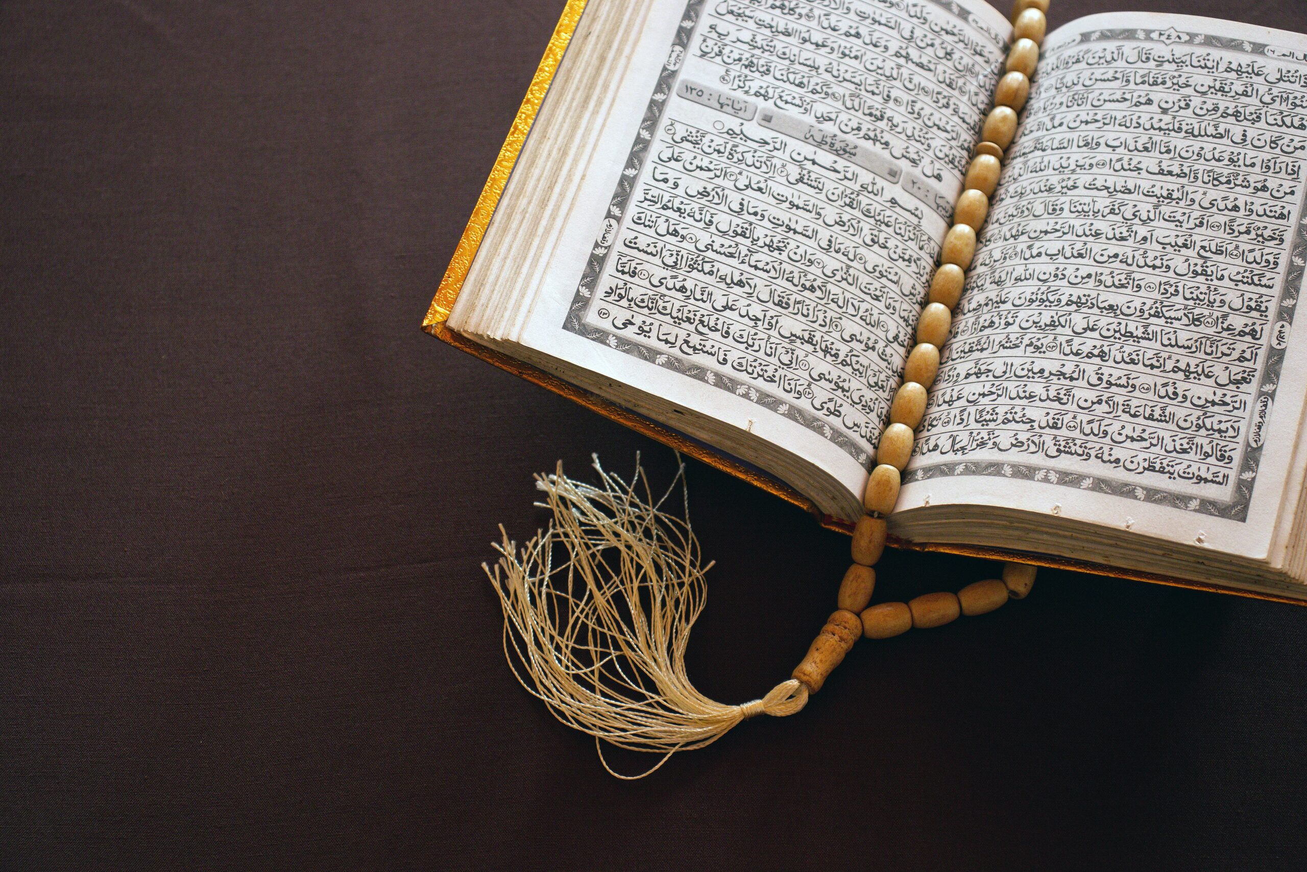 المملكة تتصدر إدانة العرب لتمزيق القرآن في لاهاي