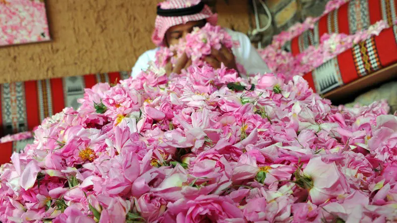 انطلاق مهرجان الورود السنوي بالطائف