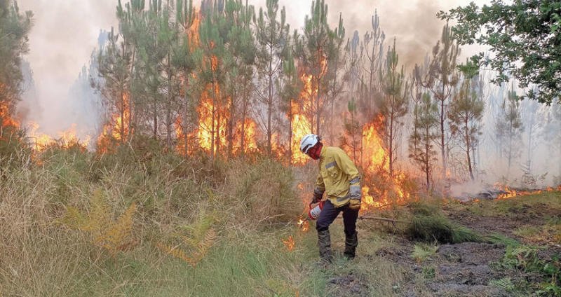 إطلاق مبادرة حماية غابات المملكة من الحرائق