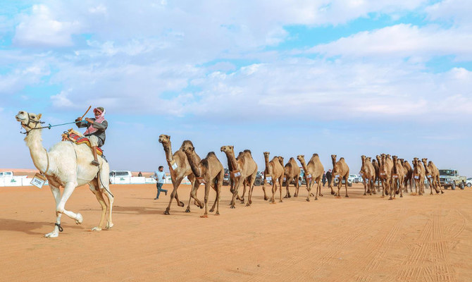 المملكة تشارك في العرض السنوي الثالث للهجن في باريس