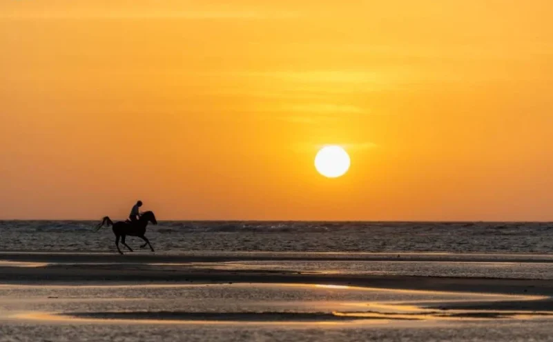 شاطئ أملج مالديف السعودية يحتل المرتبة 41 ضمن جوائز 2024 Golden Beach Awards