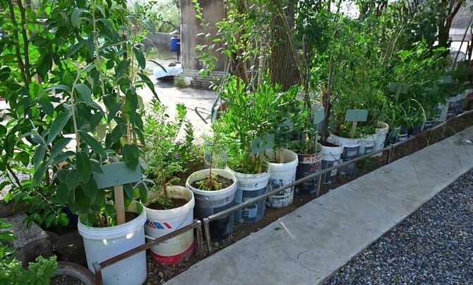 بيئي سعودي يبني متحفًا بيئيًا في عسير لحماية التراث الطبيعي والثقافي
