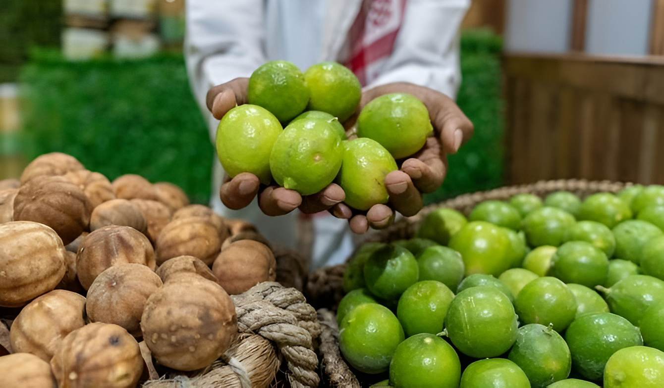 برنامج “ريف السعودية” يروّج لإرث الزراعة في الأحساء