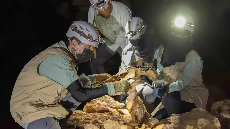 اكتشاف علمي غير مسبوق.. العثور على فهود محنّطة طبيعيًا في كهوف المملكة