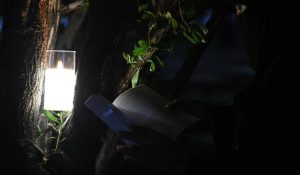 ليلة بين الشموع والكتب تبوك تحتفي بالقراءة في فعالية ثقافية تعيد للكتاب سحره